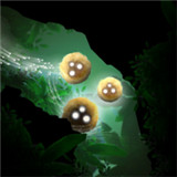 Ͷ������YourlandBowlersRunv0.9.8 ���İ�