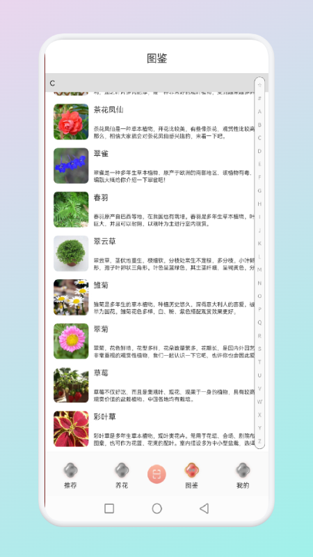 ����ʶ����appv1.1 ��׿��