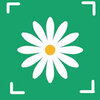 ����ʶ����appv1.1 ��׿��