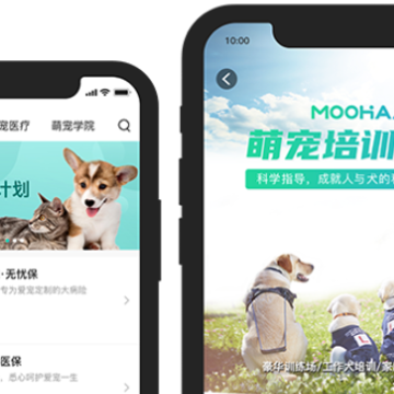 陌哈陌哈 陌哈陌哈