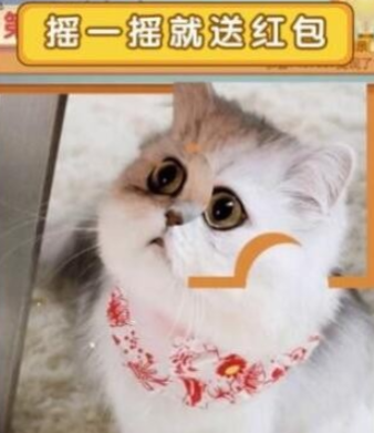 ħ��ƴͼ�ֺ����