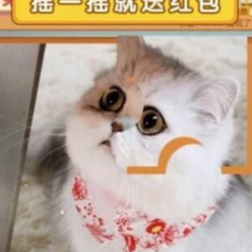 魔法拼图乐红包版 魔法拼图乐红包版