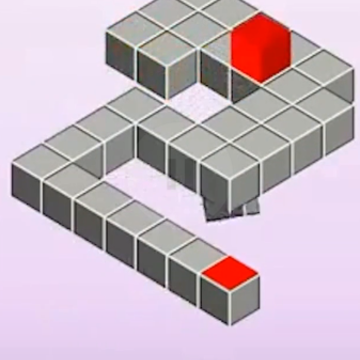 ����ר��