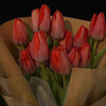 ���Է����ں���˸��İ� ���Է����ڵ����ľ���