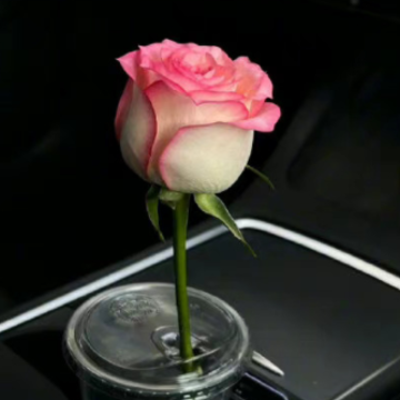  ��һǵ��һ��������������Ȧ �����Լ������ĵľ���