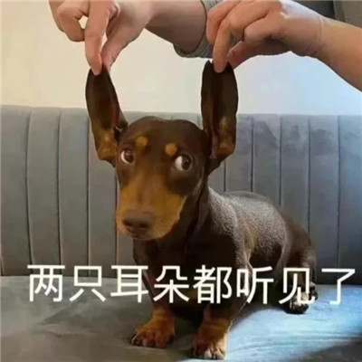 ��ˮӡ����ɰ������� ����Ҫ���