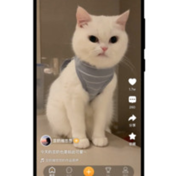 ����app