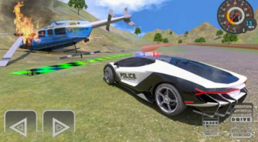 ����׷�������ľ���˾��(Police Chase Real Cop Driver)