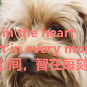 派旺智能app 派旺智能app