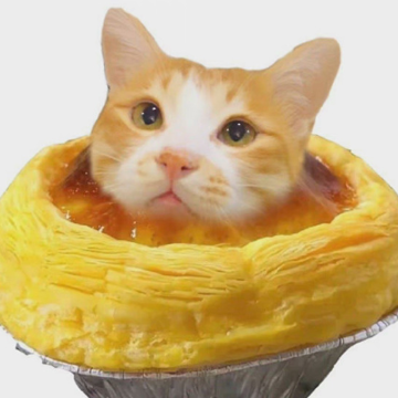 image.png image.png