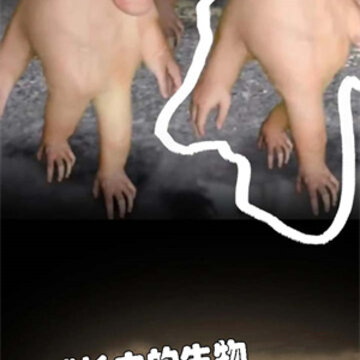 СС��ָ����֮·