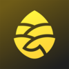 �ɹ�����app����