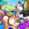 ��������Pet Havenv3.1.51 ��׿��