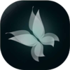 蝴蝶视频app下载安装v1.0.3 最新版
