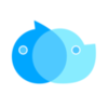 һ��Ebo(��è����)v1.5.7.1 ��׿���°�