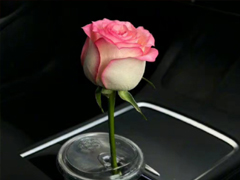 ��һǵ��һ��������������Ȧ �����Լ������ĵľ���
