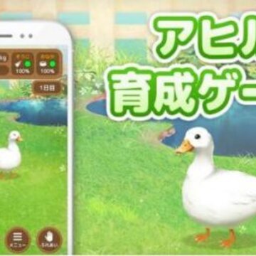 鸭子培养Duck 鸭子培养Duck