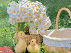 ȫ���д����˭���Ե���Ŀ��ȫ ��Ȥ��˭���Ե���Ŀ�ϼ�