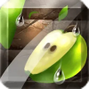 ˮ(Fruit Slice)v1.4.5 ׿