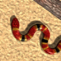 真蛇Real Snakev0.4.52 最新版