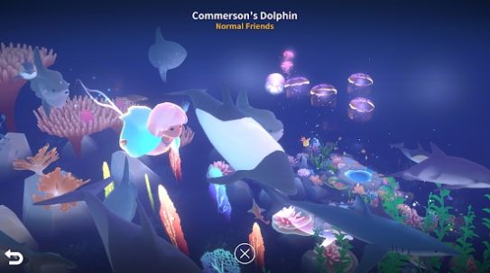 �ͥԺ��Ϸ���İ�v1.1.8 ��׿��