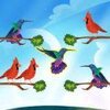 ������ɫ����(Bird Sort)v0.3 ��׿��