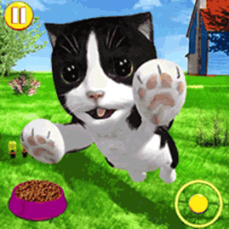 模拟宠物店养成游戏v10 安卓版