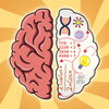 ���Թ���BrainHackv2.0 ��׿��