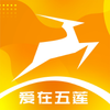Ԫ����ɽv1.6.1 �ٷ���