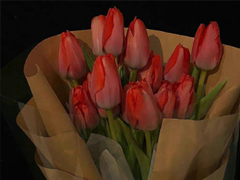 ���Է����ں���˸��İ� ���Է����ڵ����ľ���