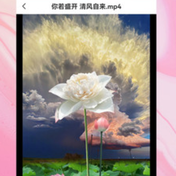 ȥ��ˮӡapp