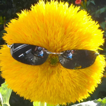 �ɾ���Ұ���������� ����ʮ��ǳ�Ұ�Ե�����