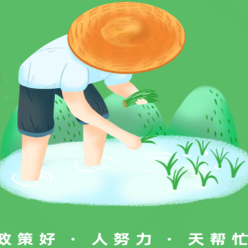 天帮忙app 天帮忙app