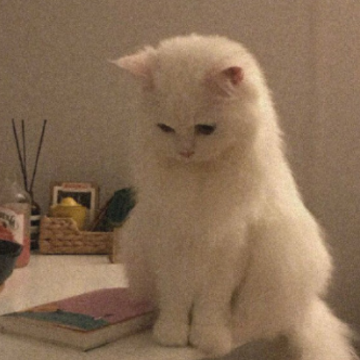 ���ӵ�һ�����׶�԰˵˵����Ȧ ������԰��һ������Ȧ�İ�
