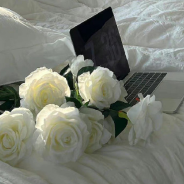���˸о��������������� �����������ǳ����ºϼ�