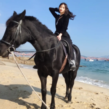 ��һ������������˵˵ ���������������ľ���