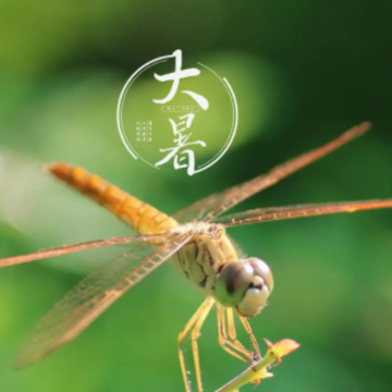 2022大暑节气的心情说说 大暑节气微信祝福语 2022大暑节气的心情说说 大暑节气微信祝福语