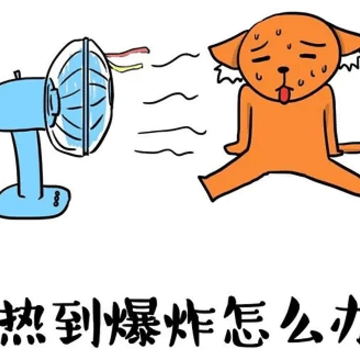 �ڻ�¯���к��ȵ�����˵˵ �����ƻ������˵˵
