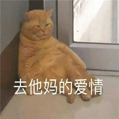 6958e69dgy1h11valfdurj20j60ggjtf.jpg