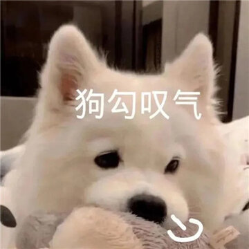 6958e69dgy1h11vaimajdj20j60iudht.jpg