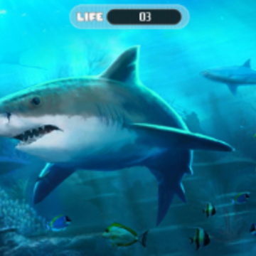 ���������ģ����(White Shark Attack Mission 3D)