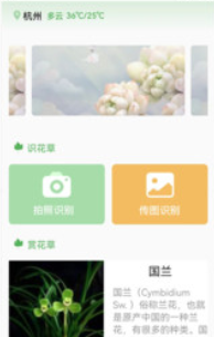 一花草app 一花草app