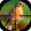 ����������սBird Hunting Challengev1.0 ��׿��