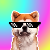 �޹�ҹ��appv1.0.0 ���°�