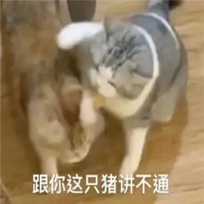 ����������ĺ�Ц���� ������ֻ������ͨ