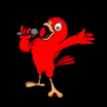 ��վ����Ƶv1.0.0 �ٷ���