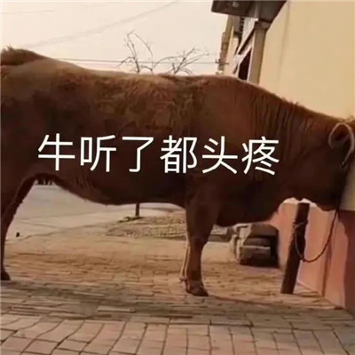 ���ȱر��ĺ����ŵı����ȫ ţ���˶�ͷ��