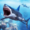 ���蹥������White Shark Attack Mission 3Dv1.2 ���İ�