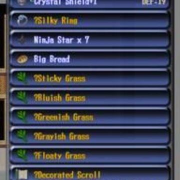 ��ֹ������Eternal Rogue
