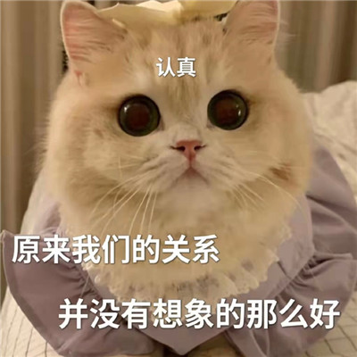���ڲ�ͬ���صı������� ���ܻ�ӭ�ı����